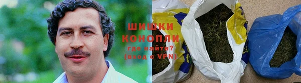 гидропоника Алзамай