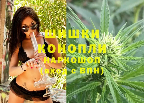 гидропоника Алзамай