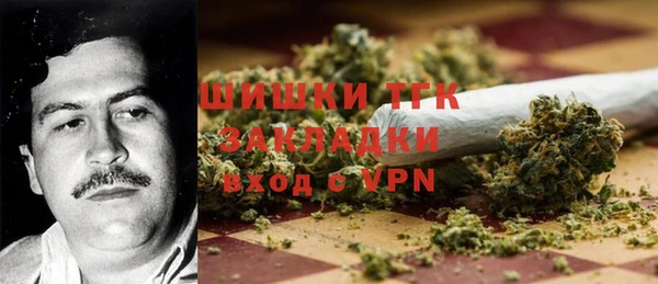 гидропоника Алзамай