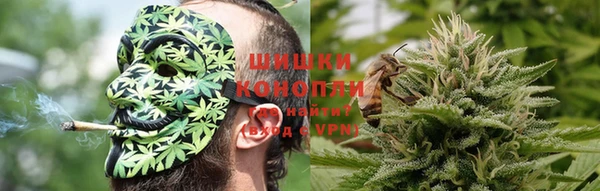 гидропоника Алзамай
