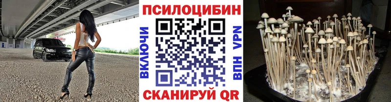 hydra онион Приволжский Галлюциногенные грибы MAGIC MUSHROOMS где можно купить